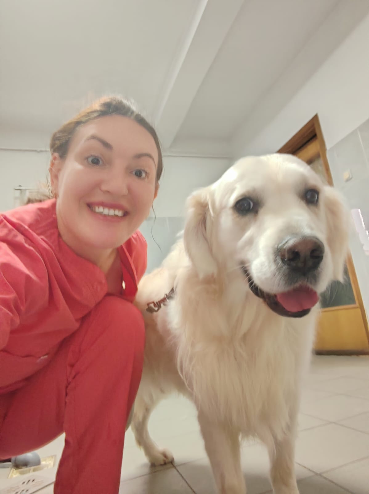 Dr. Claudia cu un golden retriever — LaVet Preventiv Sibiu
