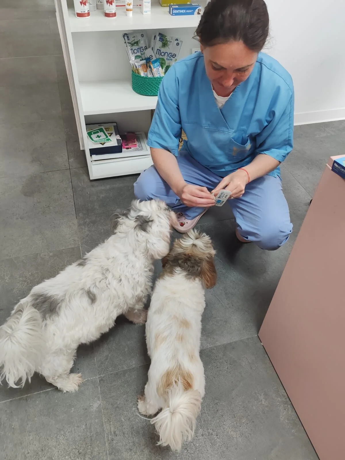 Dr. Claudia Lakatos Știrbați cu pacienți — LaVet Medical Sibiu