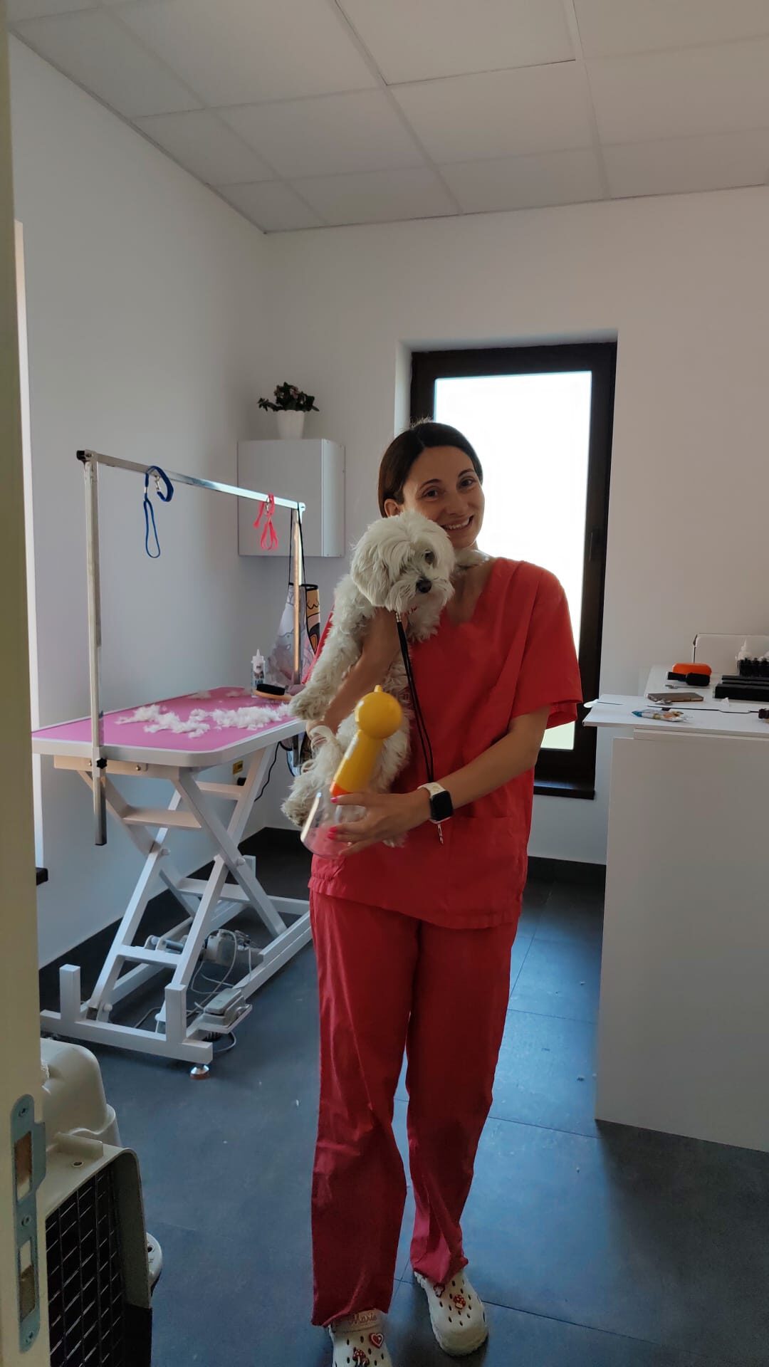Ruxandra Peter — Specialist Grooming LaVet Medical Sibiu