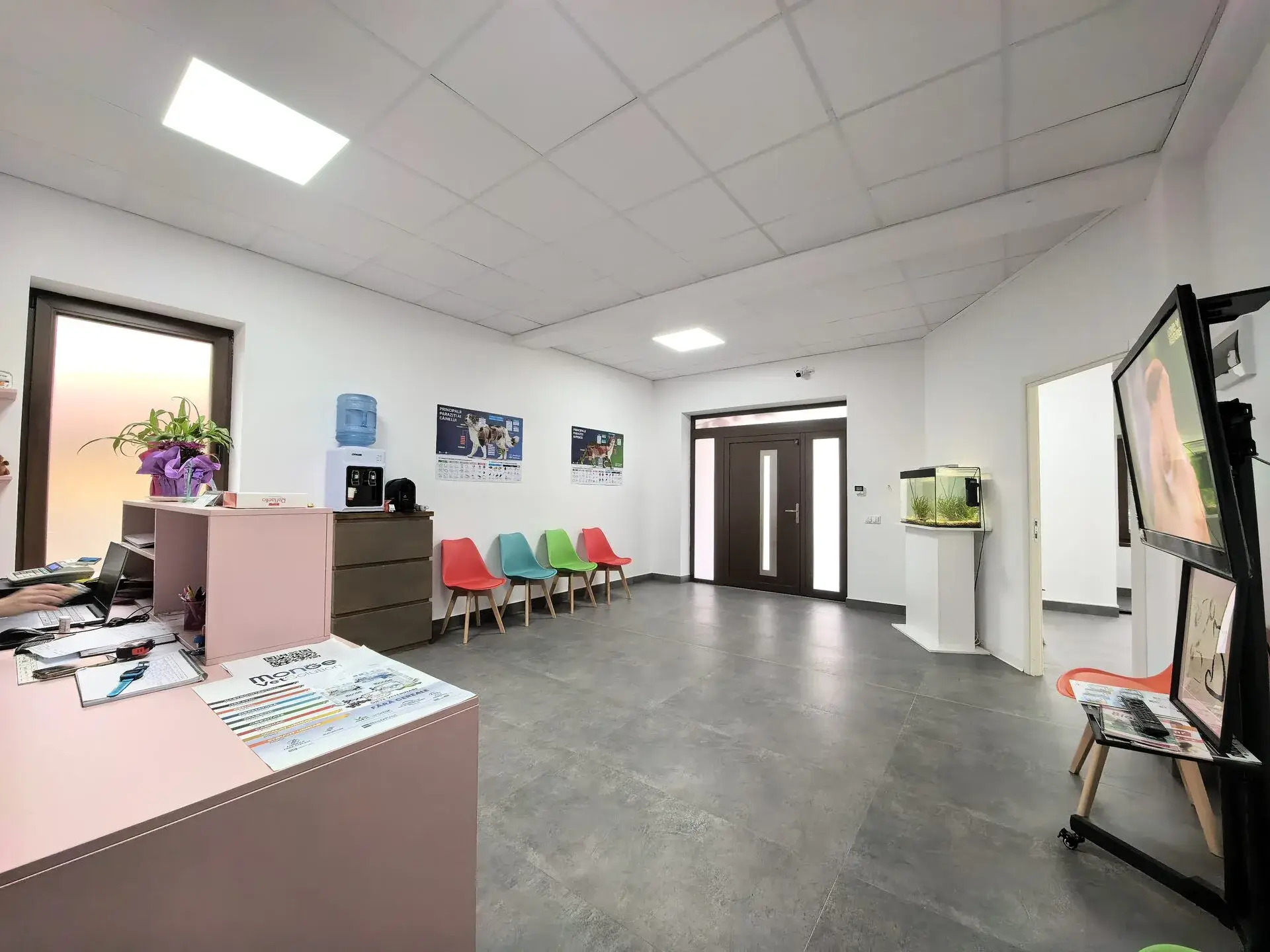 Sala de așteptare LaVet Medical Sibiu — spațiu modern și prietenos